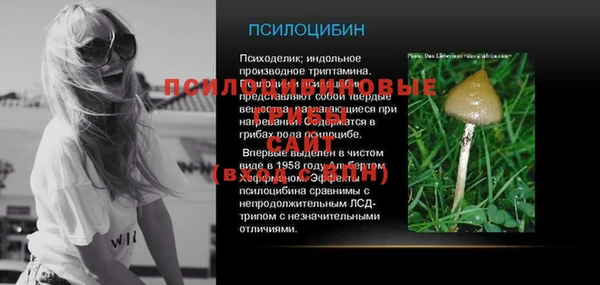 стаф Абинск