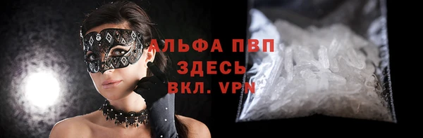 стаф Абинск