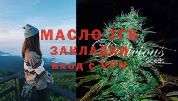 стаф Абинск