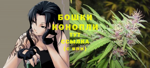 стаф Абинск