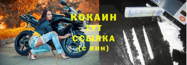 стаф Абинск