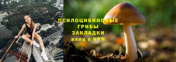 прущая мука Абаза